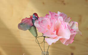 Museum Item Image